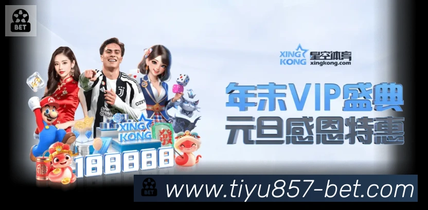 奖项证书